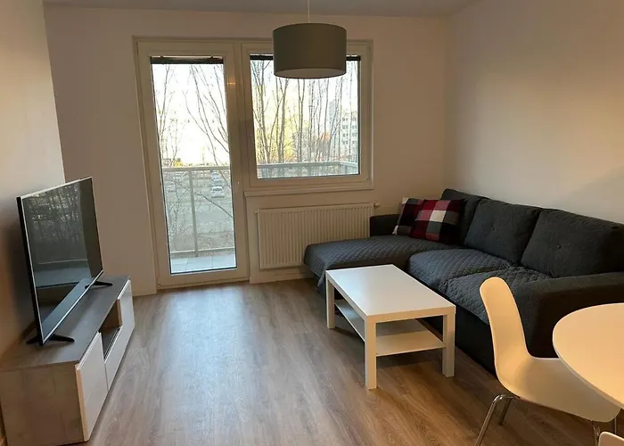 New Cozy Free Parking